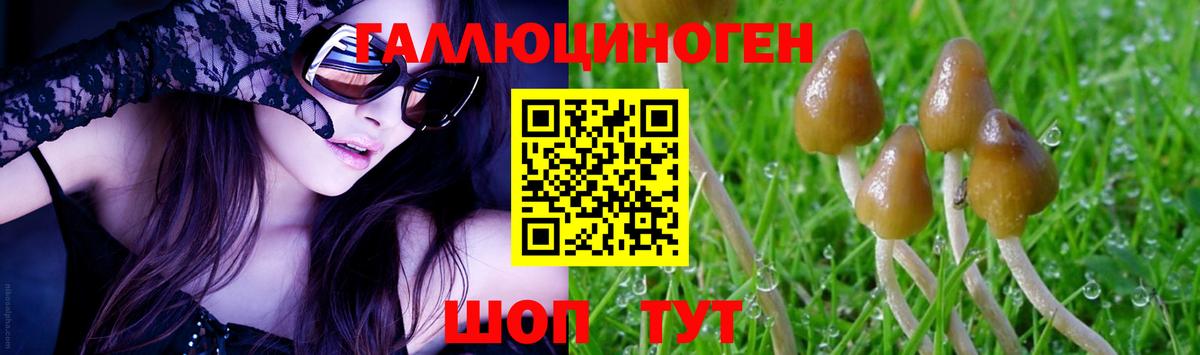 Галлюциногенные грибы прущие грибы  Вход с VPN  Муром  Псилоцибиновые грибы мицелий 